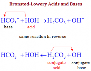 Bronsted Lowry Acids and Bases