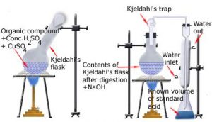 Kjeldahl's method