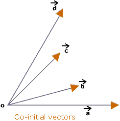 Co-initial Vectors