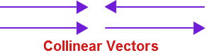 Collinear Vector