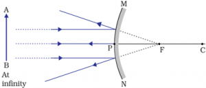Ray Diagrams for Convex Mirrors