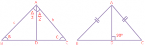 Geometrical Properties for A Triangle