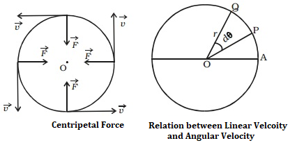 Relation between Angular Velocity and Linear Velocity