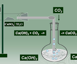 Detection of Carbon and Hydrogen