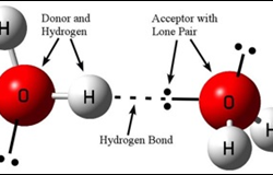 hydrogen-bonding