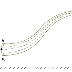 Bernoulli’s Theorem