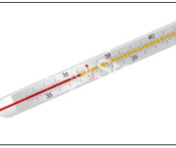 Mercury used in the Thermometer