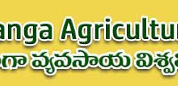 Andhra Pradesh Agriculture