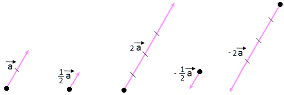 multiplication-of-a-vector-by-a-scalar-myrank